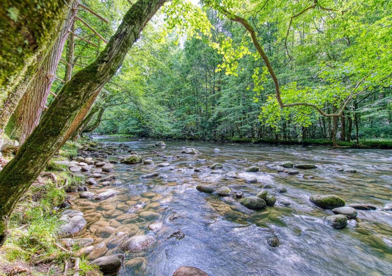 The Grand Orchard Lodge - Gatlinburg, Tn Экстерьер фото